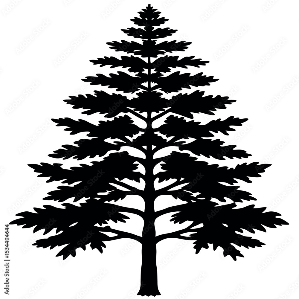 Fototapeta premium Black Silhouette Detailed Cedar Tree Illustration tree silhouette 1
