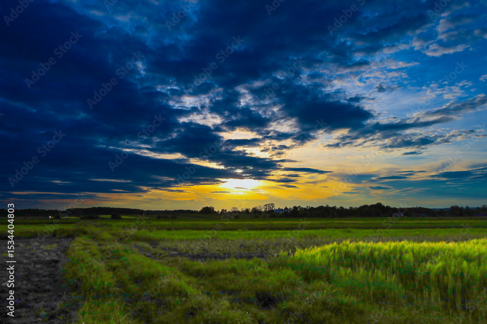Fototapeta premium A dramatic sunset over a wide field, where the sky transitions from blue to golden hues. Dark clouds create a striking contrast, adding depth to the natural landscape.