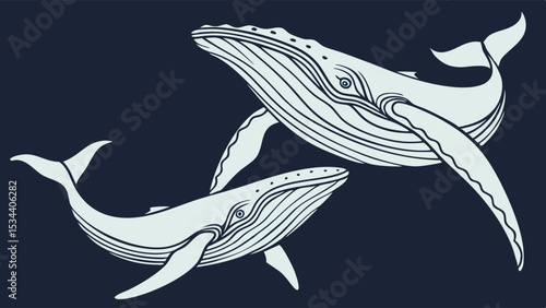 Two whales swimming in the blue ocean. Large marine animals. Wildlife and nature. Underwater sea life illustration.