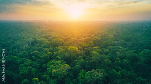 sunrise in the forest horizon 