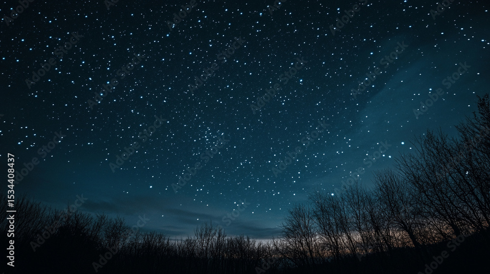 Naklejka premium starry night sky