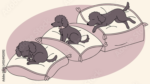 Cute black poodle dog resting on soft pillows, pet comfort and relaxation, cozy home life for an adorable domestic animal.