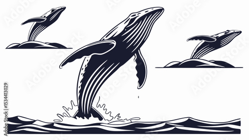 Breaching whale jumping out of ocean water Marine animal wildlife nature Black and white vintage illustration
