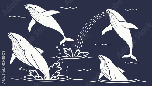 Whale vector illustration set. Marine life collection of jumping, spouting, and breaching whales in the ocean. Sea animals.
