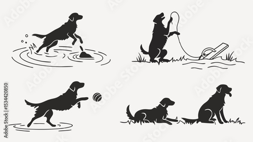 Black Labrador Dog Playing Fetch Retrieving Toy Water Outdoor Fun Pet Animal Training Happy Active Set