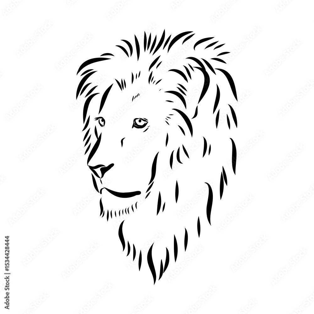 Fototapeta premium lion, vector sketch