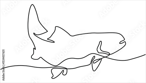 Salmon fish continuous one line drawing illustration. Fresh food concept. Rudd, roach fish, perch, carp, crucian carp continuous line drawing. Single line drawing of a leaping salmon, aquatic elegance