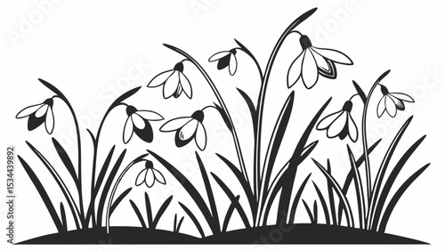 Black and White Line Art Illustration Spring Snowdrop Flowers Blooming in Grass Nature