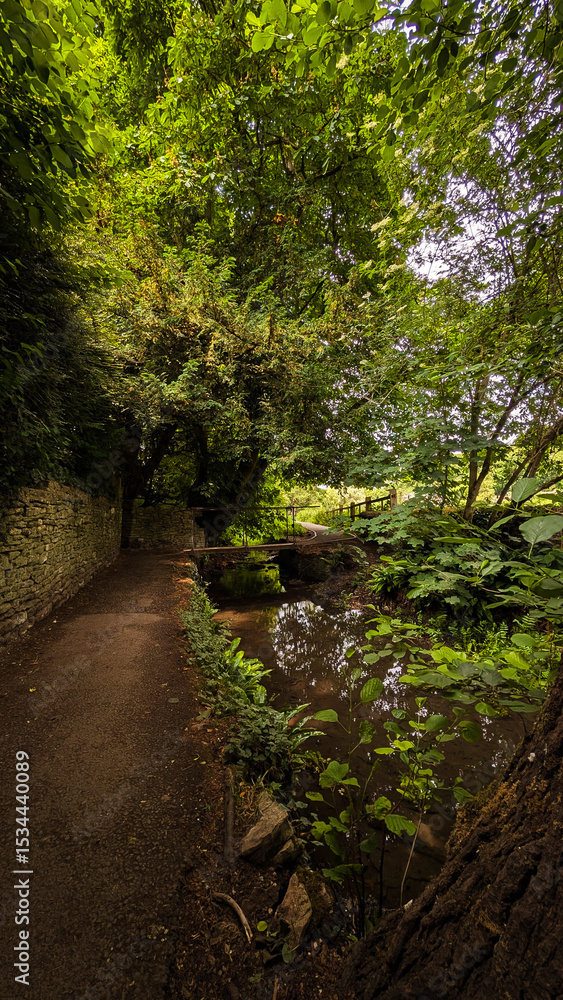Fototapeta premium path in the forest