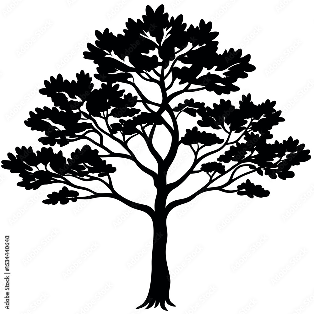 Fototapeta premium Black Silhouette Juniper Tree Bushy Branches Line Art