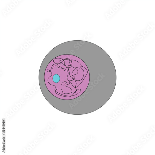 Cell Diagram Showing Nucleus, Cytoplasm and DNA