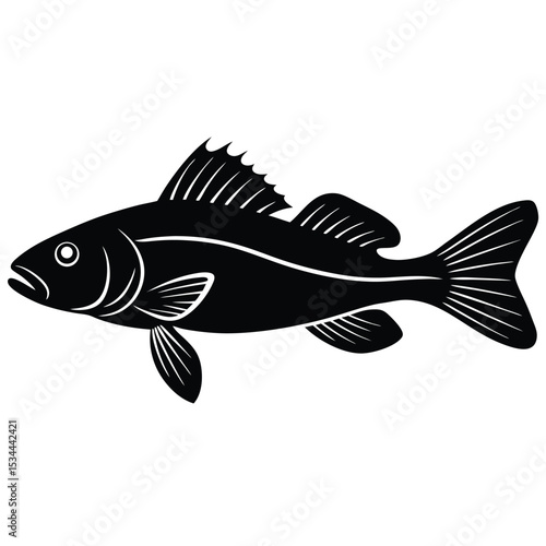 zander fish vector Illustrator 