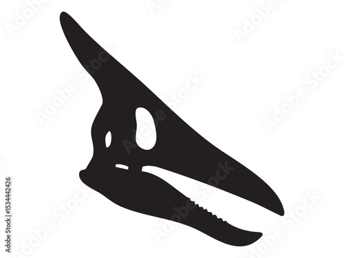 Black silhouette of pterosaur skull with long beak and sharp teeth, isolated on white background, graphic illustration. Concept of prehistoric flying reptile skeleton, pterodactyl fossil