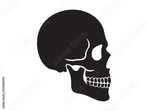 Black silhouette of human skull in side view isolated on white background, graphic illustration. concept of anatomy, halloween icon, skull art, design element