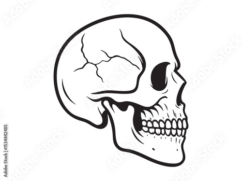 Black outline illustration of human skull in side view isolated on white background. concept of anatomy, medical study, symbolism, design element, halloween decor, death symbol