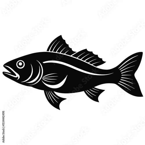 zander fish vector Illustrator 