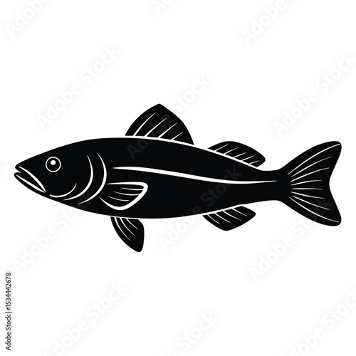 zander fish vector Illustrator 