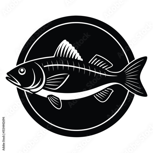 zander fish vector Illustrator 