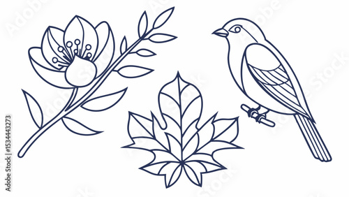 Outline Sketch of Botanical Flower Maple Leaf and Bird Vector Illustration