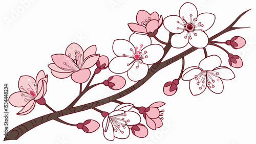 Simple Illustrated Pink Cherry Blossom Branch with Delicate Spring Flowers and Buds