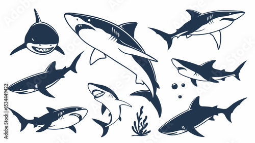 Collection of Vector Shark Illustrations - Marine Life Predators in Different Dynamic Poses