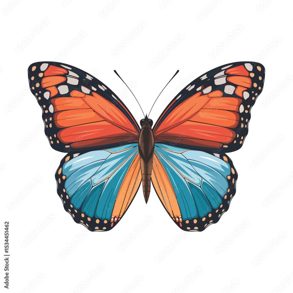 Obraz premium An intricately detailed butterfly with vibrant, gradient colors. Its upper wings display rich orange and deep red tones that transition smoothly into bright turquoise blue on the lower wings.