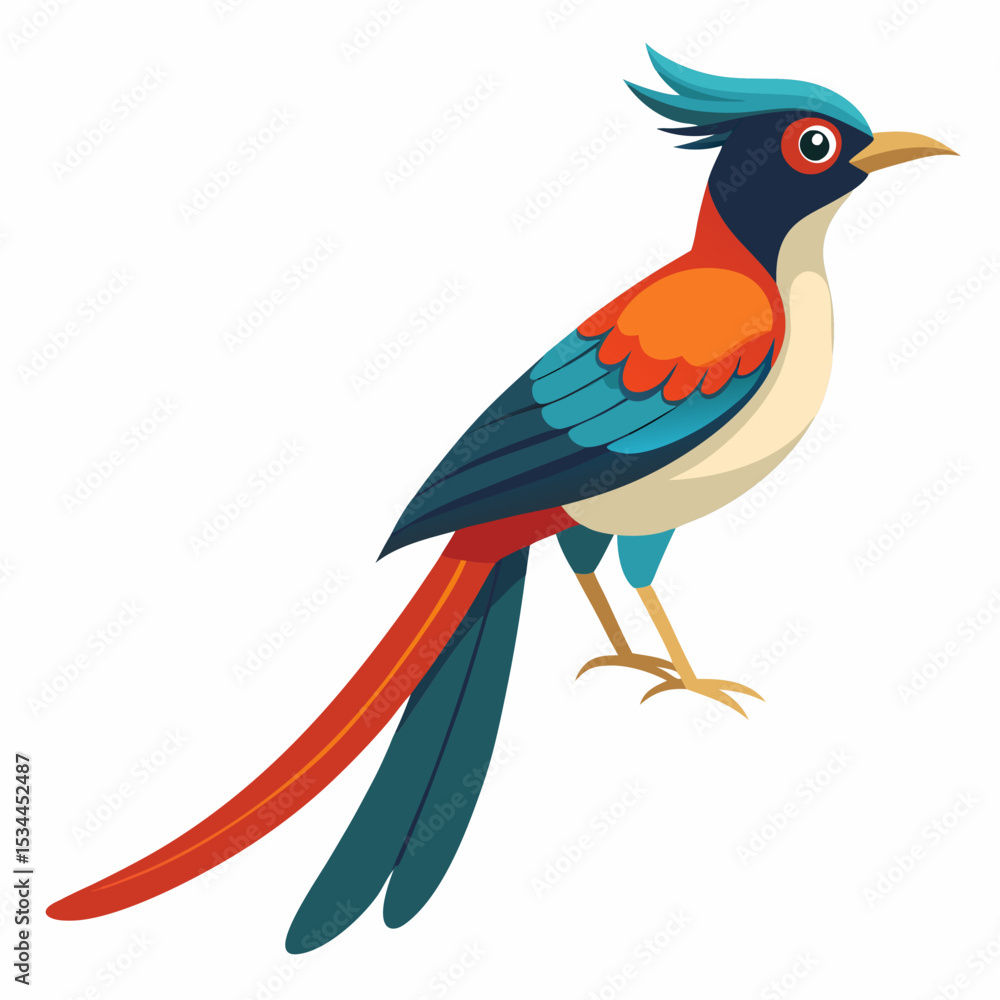 Fototapeta premium Elegant Paradise Flycatcher Vector