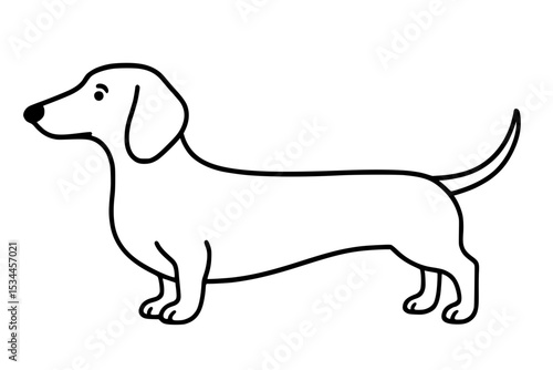 Dachshund Side View Vector Illustration