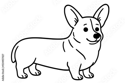 Corgi Outline Drawing Vector Illustration
