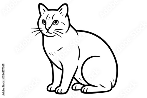 Manx Cat Vector Drawing in Sitting Pose
