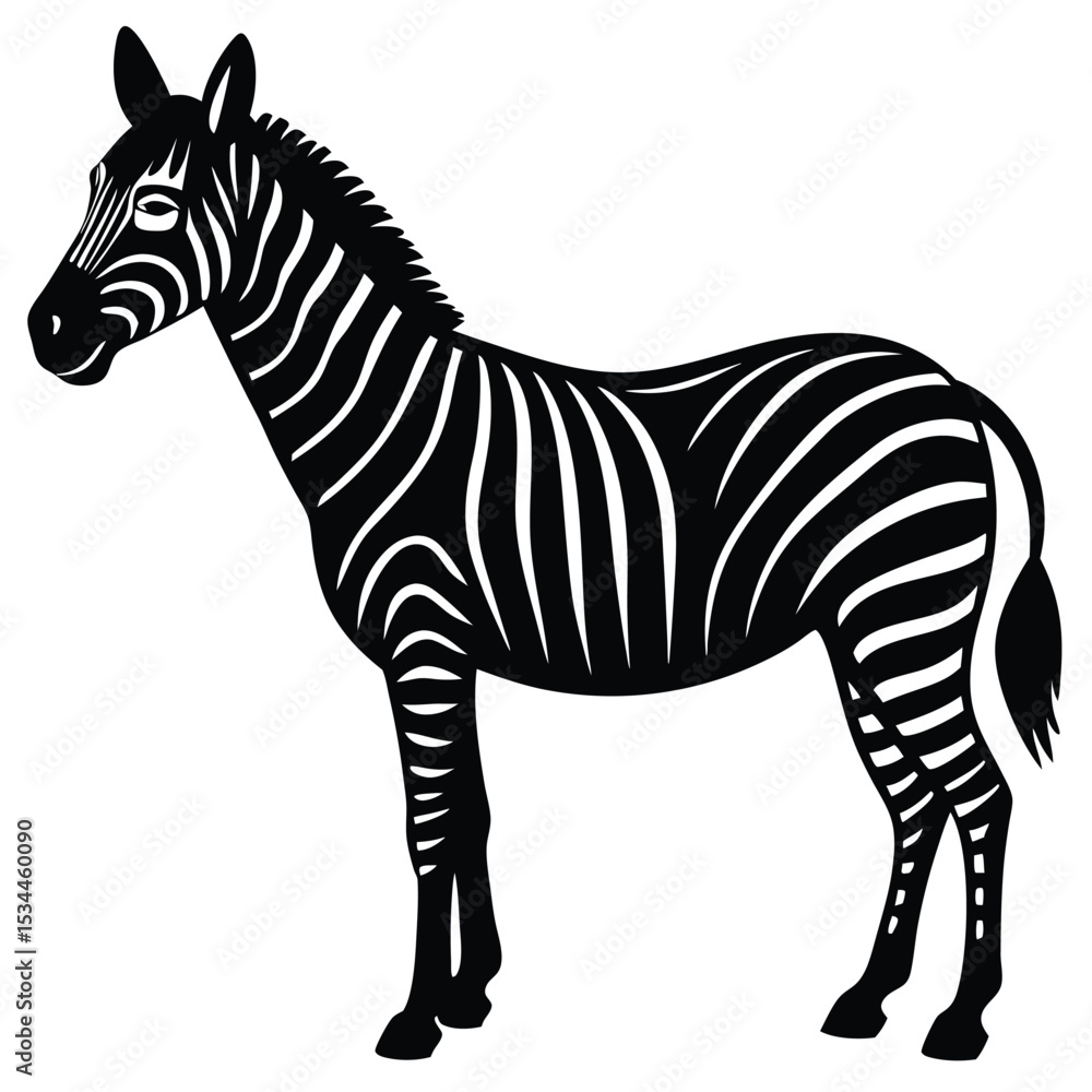 Obraz premium zorsi cector sihouette