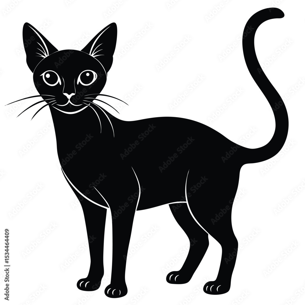 Fototapeta premium abyssinian cat vector
