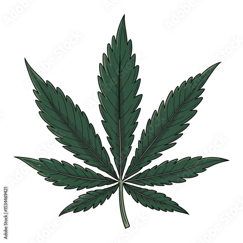A detailed illustration of a cannabis leaf, shown with exaggerated, stylized features in a cartoon-like manner.