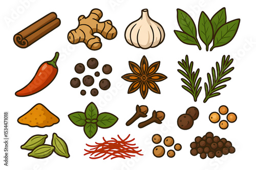 Collection of Culinary Herbs and Spices Vector Set.