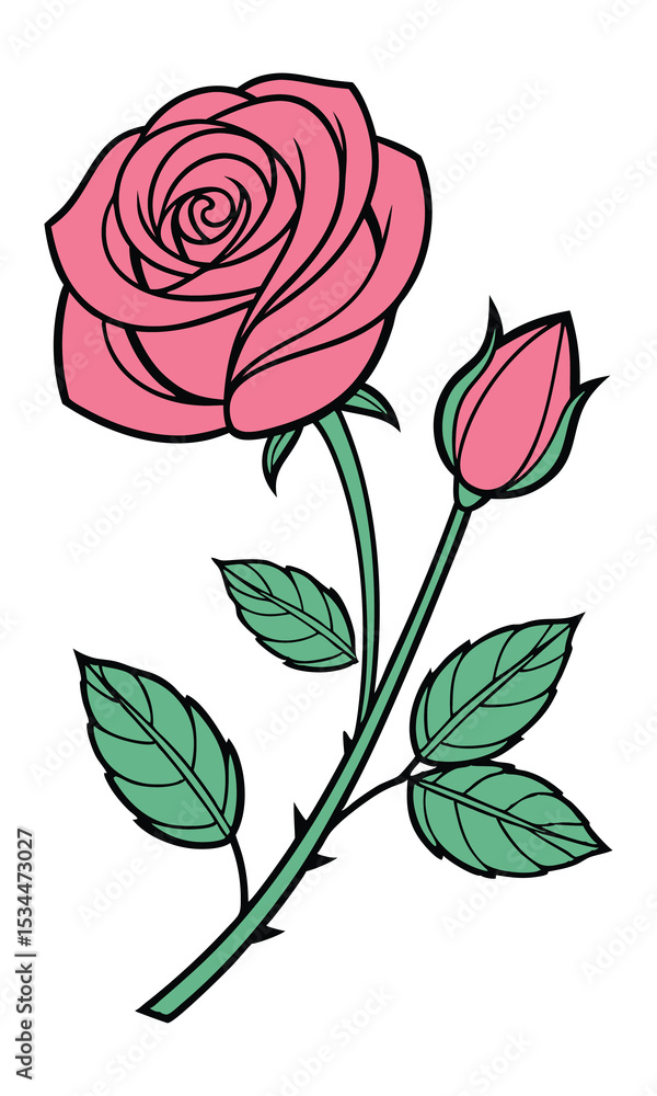 Elegant pink rose blossom and bud on a single stem stands beautifully with transparent background Elegant pink rose blossom and bud on a single stem stands beautifully with transparent background