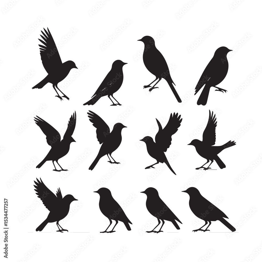 Obraz premium Twelve bird silhouettes in various poses