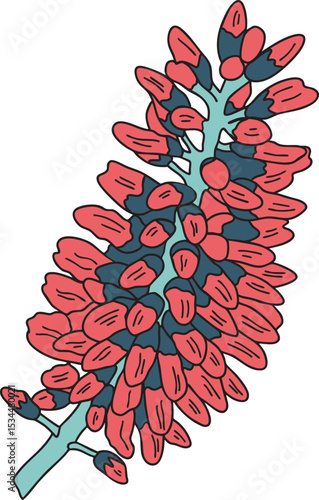 Hebe plant flower colorful vector illustration. Hand drawn sketch of blooming floral plant. Botanical art. Great for wedding decor, cards and invitations.