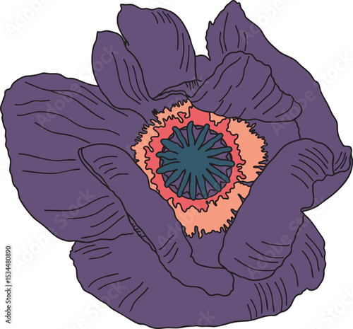 Poppy seed flower colorful vector illustration. Hand drawn sketch of blooming floral plant. Botanical art. Great for wedding decor, cards and invitations.