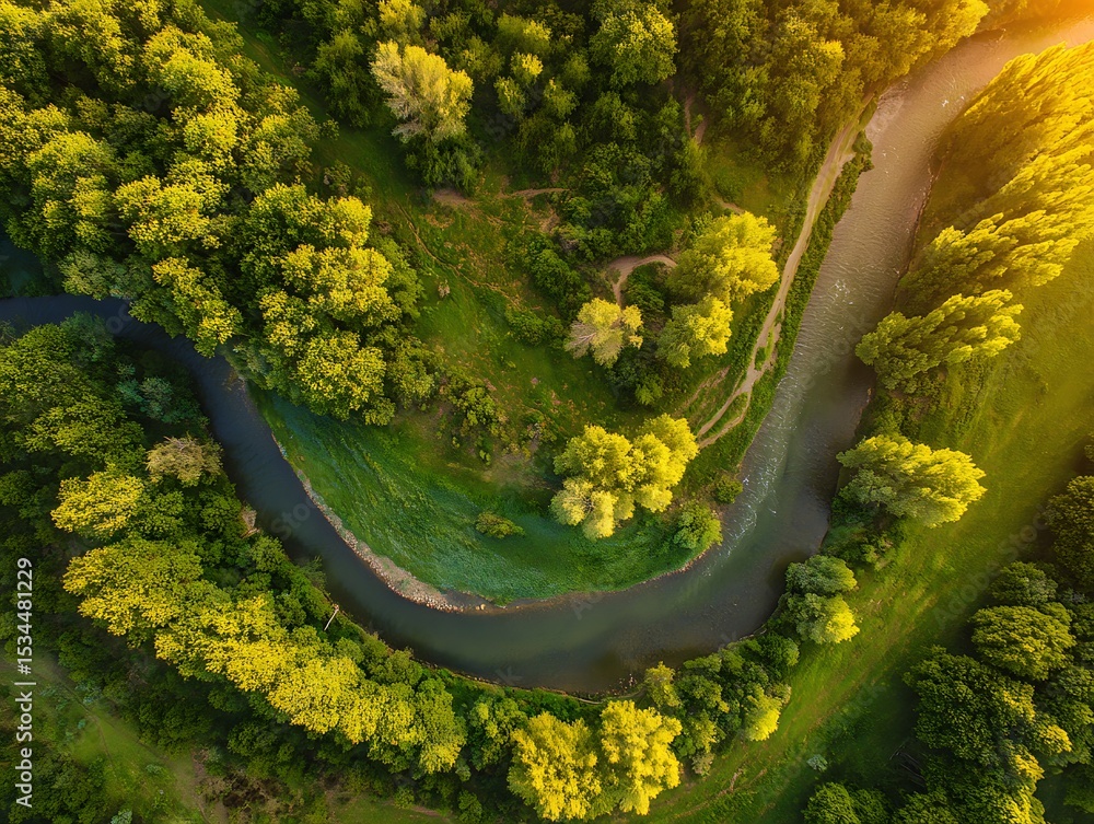 Obraz premium Winding river meandering through a lush green forest.