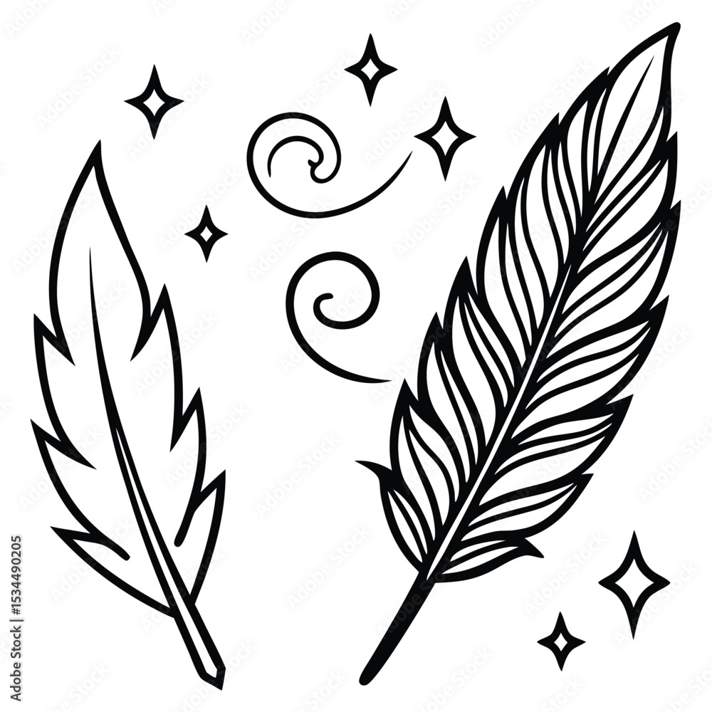 Obraz premium elegant feather collection