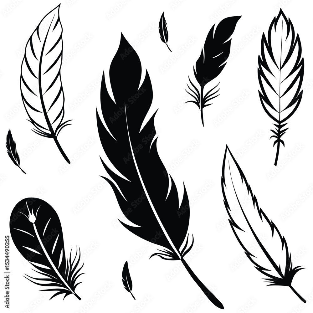 Obraz premium elegant feather collection