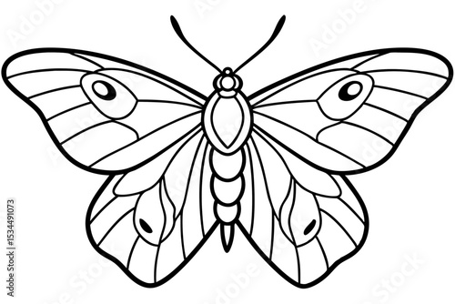 Opal Moth Line Drawing Illustration