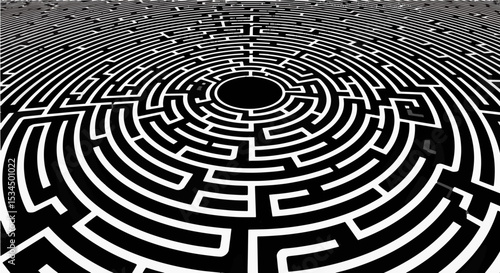 Black and White Maze Pattern - Complex Labyrinth Puzzle Design
