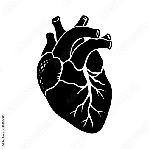 Detailed monochrome anatomical heart vector, human body vital organ depiction silhouette icon