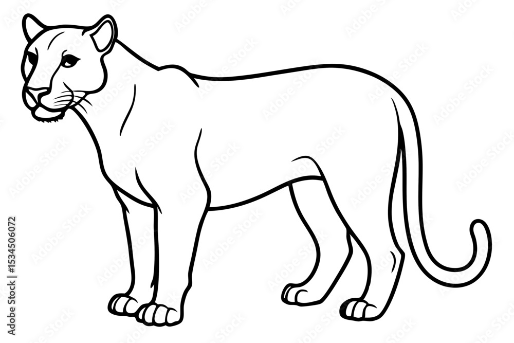 Obraz premium Elegant Cougar Line Drawing