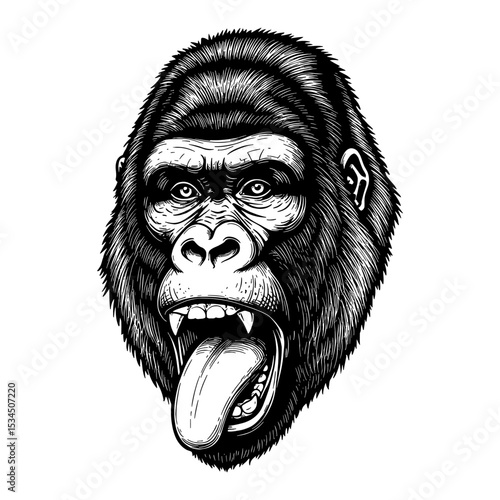 Detailed Gorilla Face with a Tongue Out and Funny Expression Black and White Outline Line Art Drawing