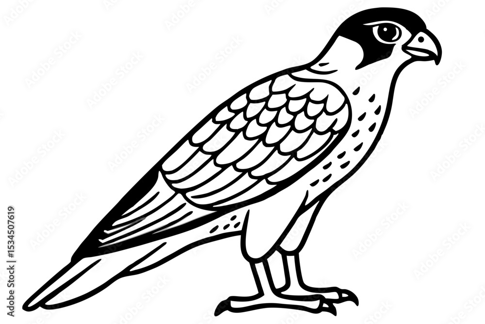 Fototapeta premium Falcon vector illustration line art and white background