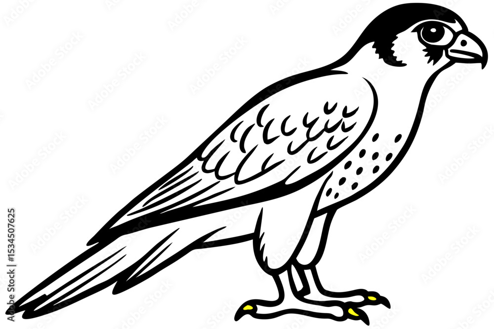 Fototapeta premium Falcon vector illustration line art and white background