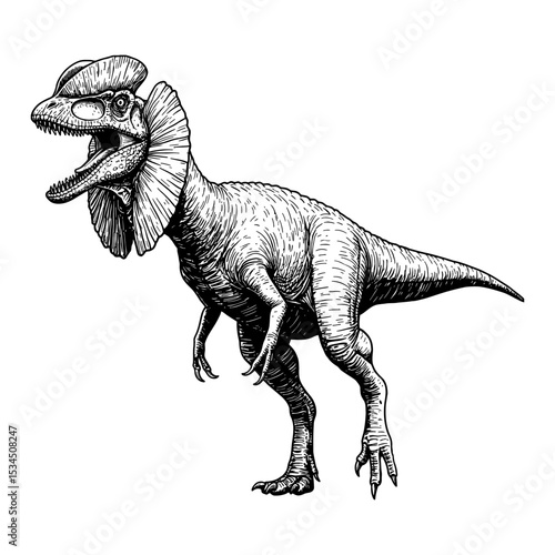 Dilophosaurus Full Body Shot Prehistoric Dinosaur Creature Black and White Outline Line Art Drawing Vintage Illustration