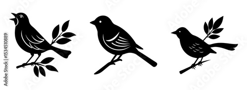 Silhouette set of graphic birds on branches vector illustration avian wildlife design art